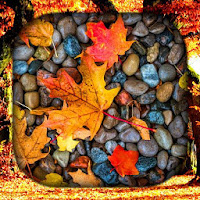 Autumn Wallpaper Live HD-3D-4K