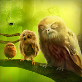 Owls Forest Live Wallpaper icon