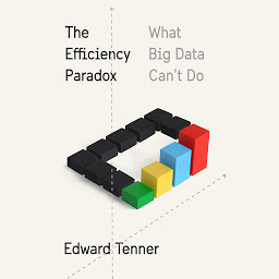 Icon image The Efficiency Paradox: What Big Data Can't Do