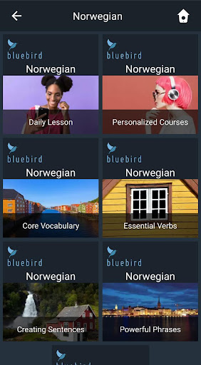 Android application Learn Norwegian. Speak Norwegi screenshort