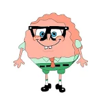 Sponge Boby