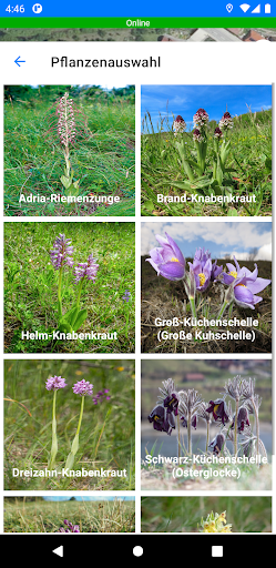 NÖ Natur Monitor Screen 2