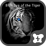 Theme -Blue Eye of the Tiger- icon