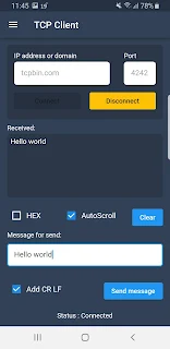 TCP Client