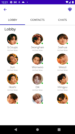 Seventeen Fake Video Call Screen 3