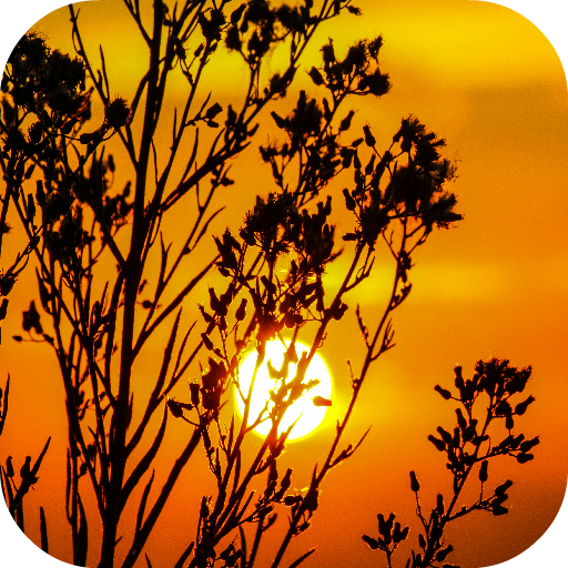 Sunset Wallpapers logo