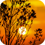 Cover Image of Download Sunset Wallpapers 2.1.0 APK