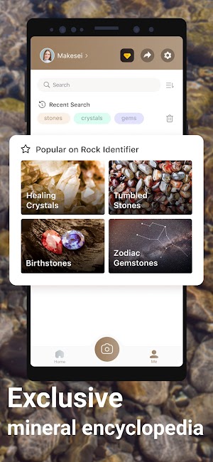 download Rock Identifier Stone ID MOD APK