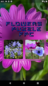 Flowers Puzzle FPC