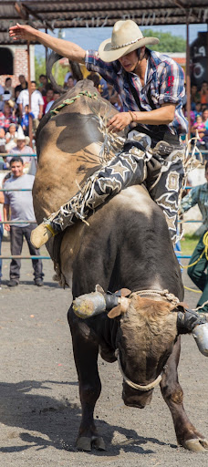 Rodeo Wallpapers 2023 HD 4K Screen 2