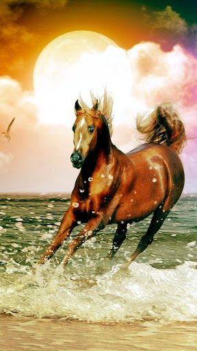 Horse Wallpaper Screen 3