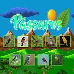 Pássaros