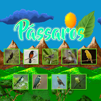 Pássaros