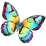 Butterfly Links icon