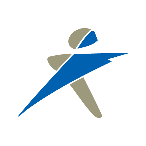 NPO-HSE logo