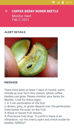 Sprout Climate Protection Screen 3