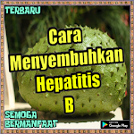 Cover Image of डाउनलोड Cara Menyembuhkan Hepatitis B  APK