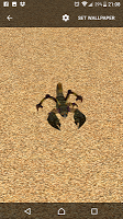 screenshot of Scorpion 3D