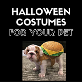 Dress up your pet-Halloween icon