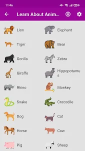 Animal Recognition Game