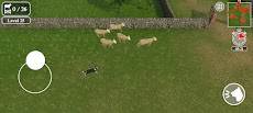 Sheep Dog Challengeのおすすめ画像1
