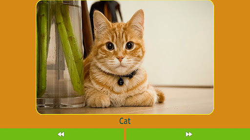Animals for children Screen 3