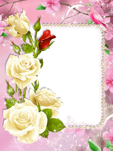 Lovely Flowers Photo Frame