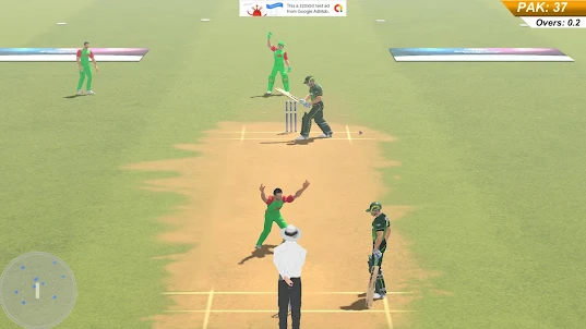 Cricket Mania : Real Cricket