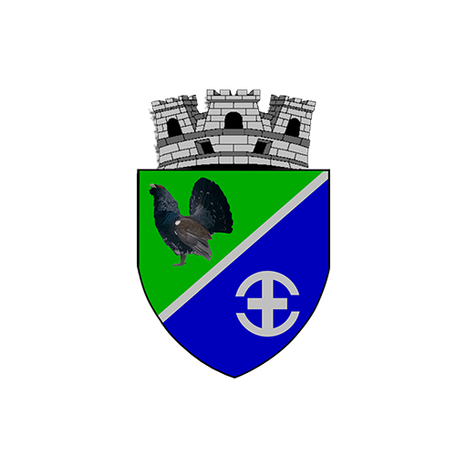Avrig City App logo