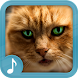 猫の鳴き声 -  猫の着メロ無料 - Androidアプリ