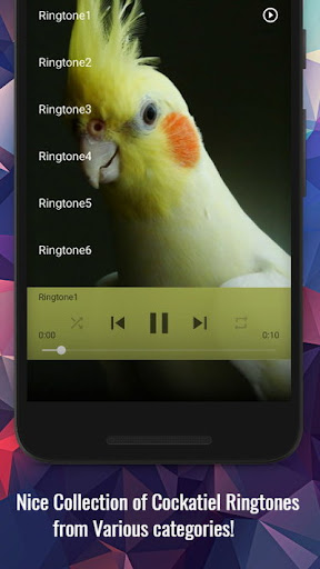 Cockatiel Sounds Screen 2