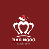 SalesUp BaoNgoc QL icon