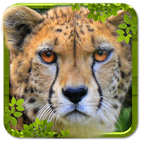 Wild Cheetah Simulator 3D
