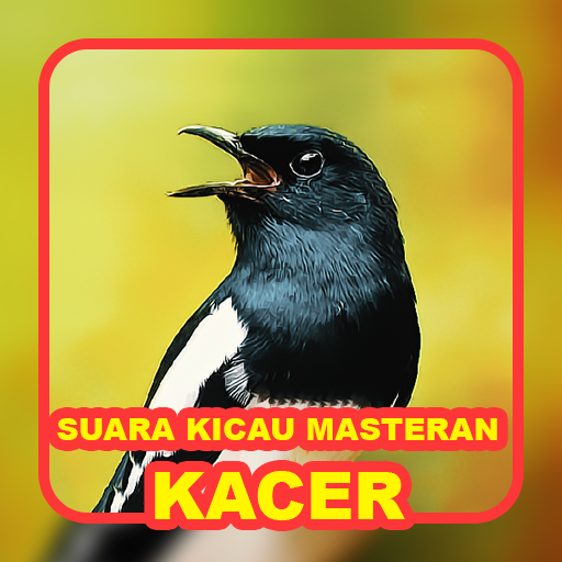 Suara Kicau: Burung Kacer logo