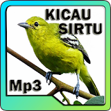 Kicau Burung Sirtu Masteran Mp3 icon