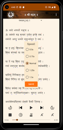 Shri Rudram Screen 3