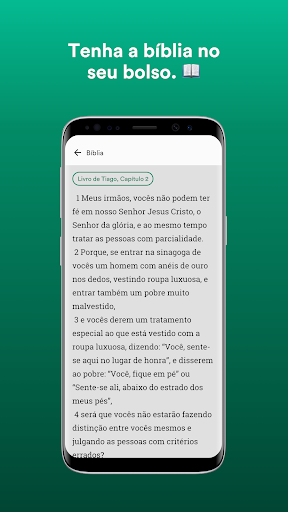 PIBVF Screen 3