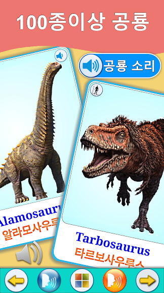 공룡세계 : 공룡 학습카드 2_2