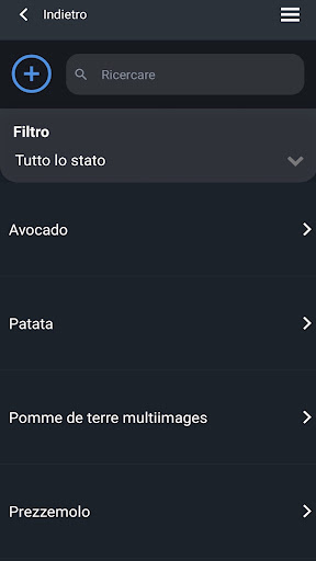 Regioneo Manager Screen 2
