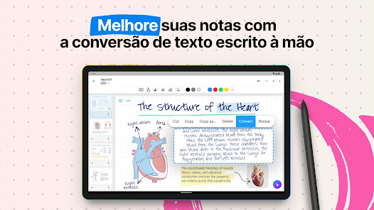 Imagem de captura de ecrã