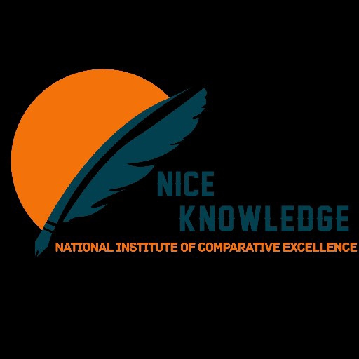 Nice Knowledge logo