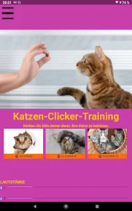 Katzen Clicker Training Light