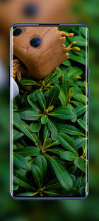 OnePlus 9 Punch Hole Wallpaper 11.6 APK screenshots 1