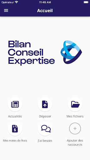 Bilan Conseil Expertise Screen 2