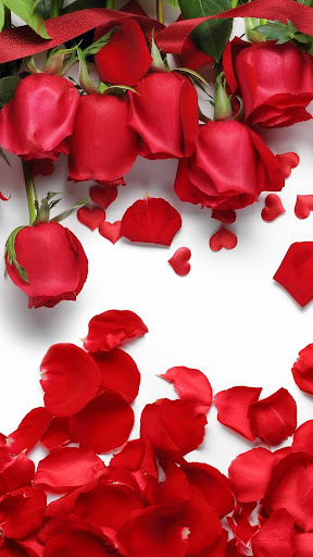 Rose Wallpaper: Rosely Screen 2
