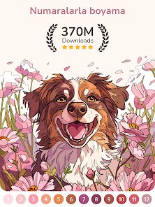 Ekran görüntüsü resmi