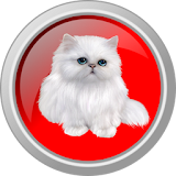 Cute sounds kittens icon