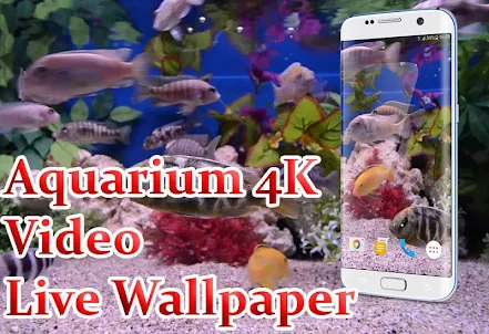 水族館4K視頻動態壁紙