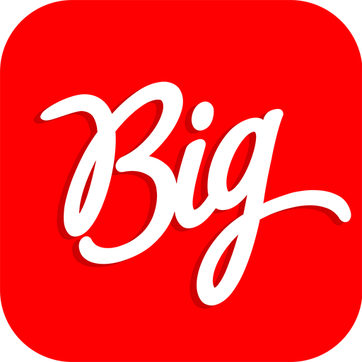 Big Delivery logo