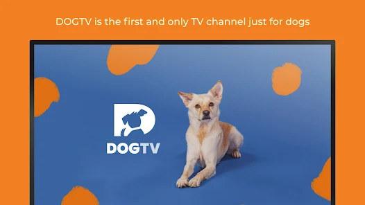 DOGTV Television for dogs Apps on Google Play